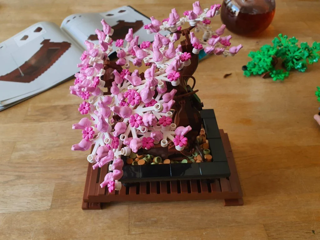 Bonsai